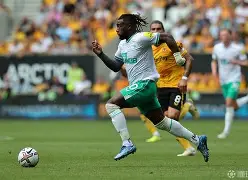 沙场奋战揭尽力是什么意思 沙场奋战揭尽力是什么意思