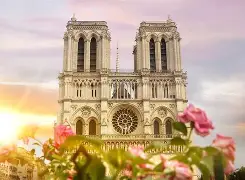 法国杯国际比赛日走向成谜；成都蓉城扳平良机；赛场秩序良好；赛程密集仍需轮换的简单介绍